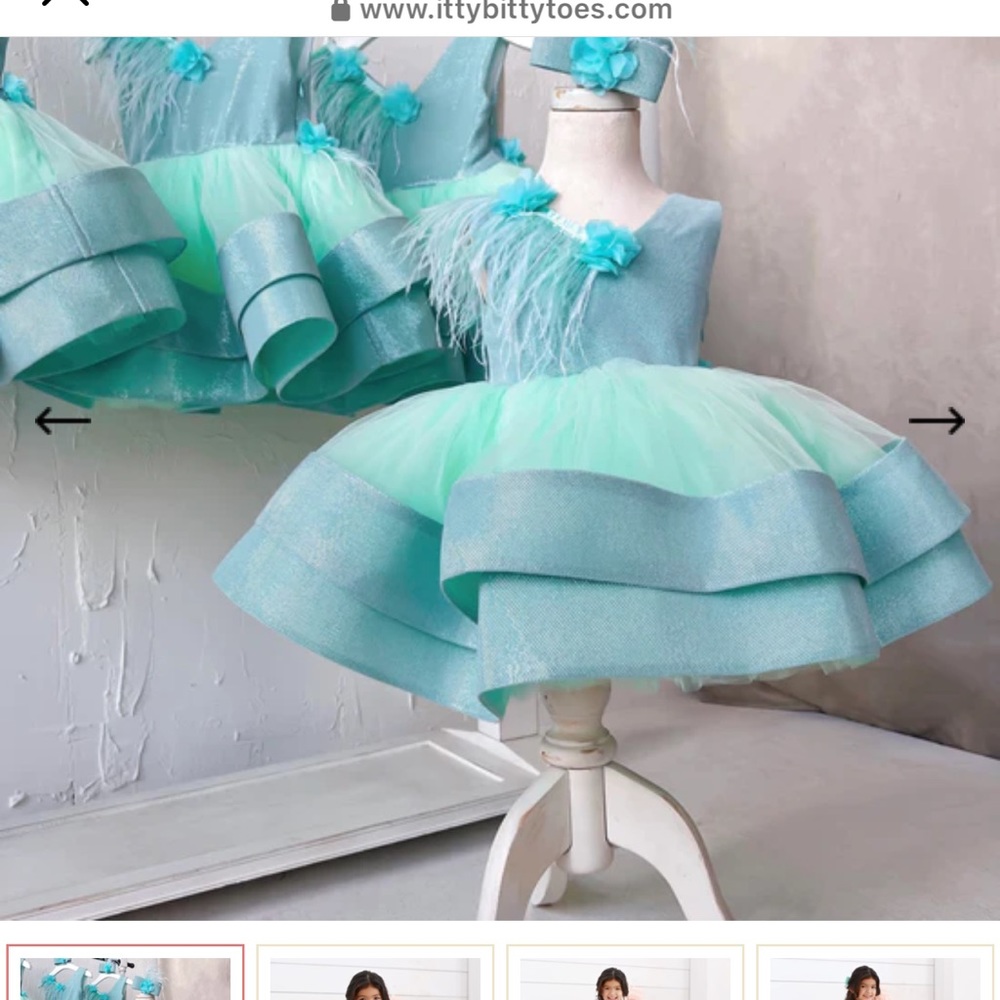 Itty bitty toes Little girl’s dress(toddler)